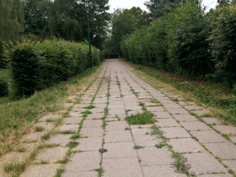 Modernizacja chodnika pomiędzy ul. Szymanowskiego a ul. Matejki przy Skwerze PCK