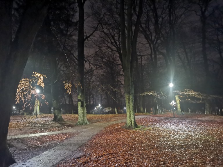 Park na Rokosowie – bezpieczne miejsce rekreacji i wypoczynku dla mieszkańców miasta – etap I